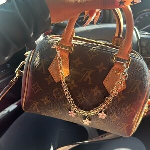 Louis Vuitton Speedy 20